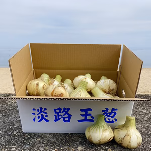 大好評のため再出品✨淡路島新玉ねぎ5kg ‼️