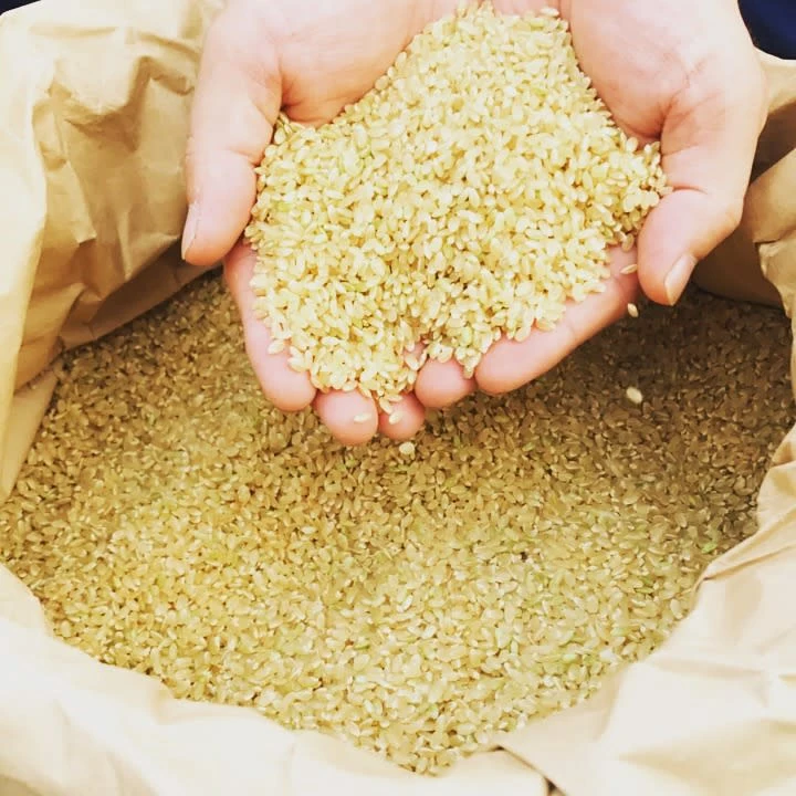 お得な日常茶６袋セット　いろいろ愉しい人気商品