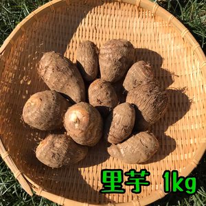 ねっとり甘い里芋 1〜2kg【山梨県産】