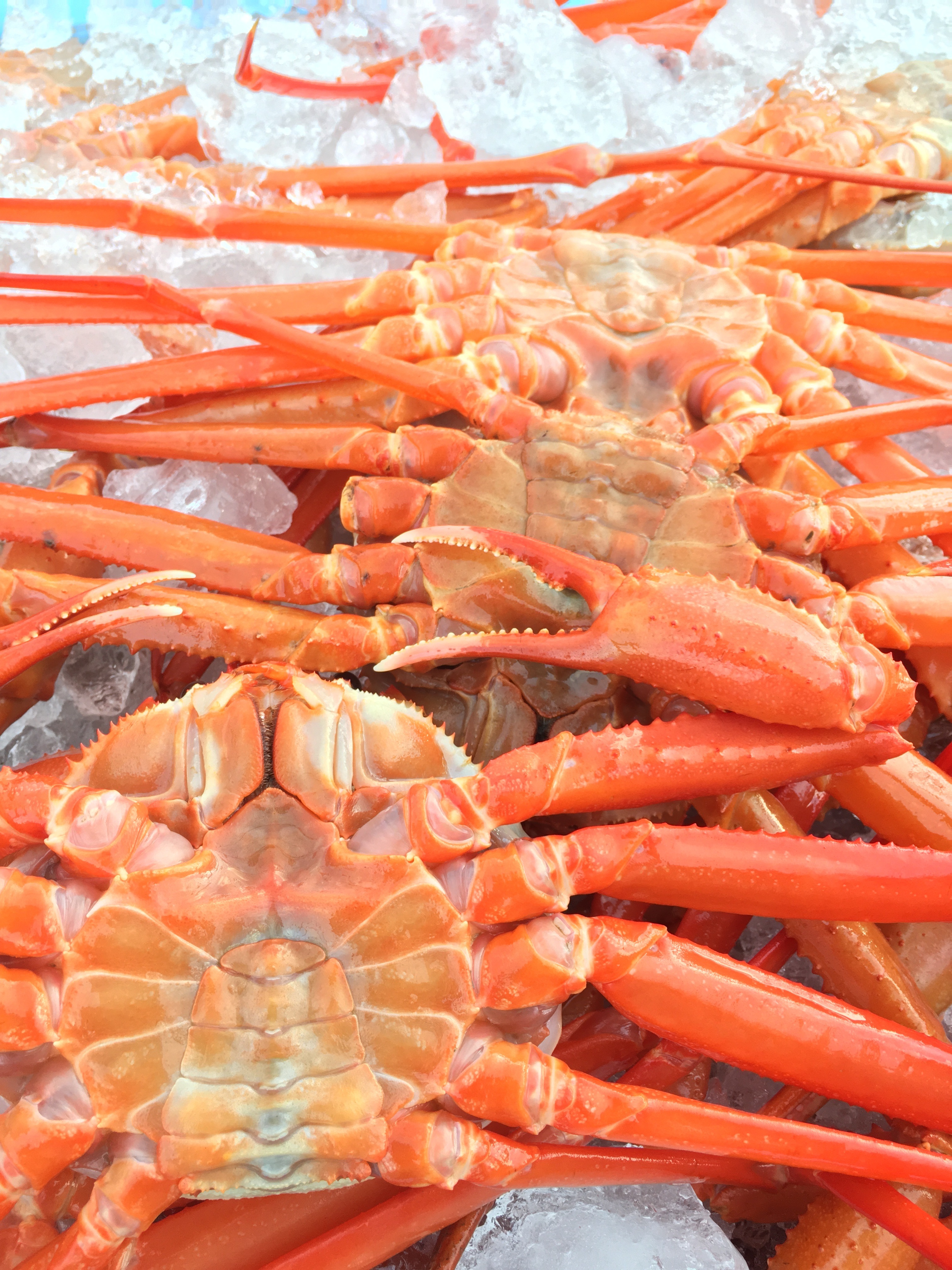 青森県西津軽郡深浦町｜有限会社マルテツ堀内水産｜堀内 透さんの生産