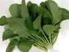 新鮮野菜セット小 クール便 農薬・化学肥料・動物性堆肥不使用 5種の野菜セット