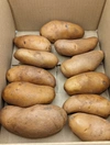 ポテトサラダにおすすめ！メークイン（農薬・化学肥料不使用）