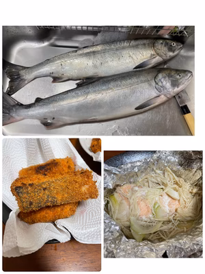 みんなの投稿の画像