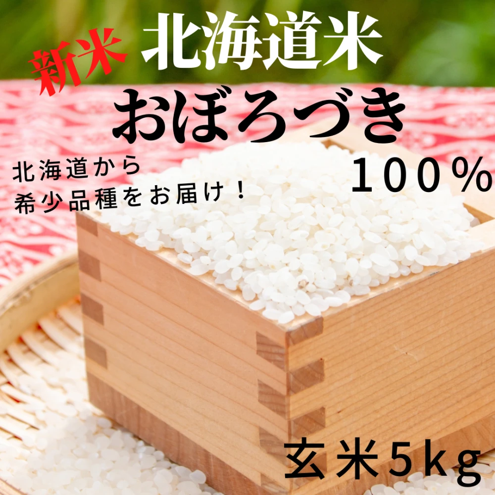 【希少品種をお届け♪新米予約】もっちり・甘みのある北海道米おぼろづき　玄米