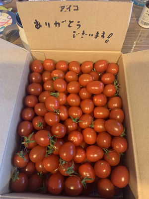 みんなの投稿の画像