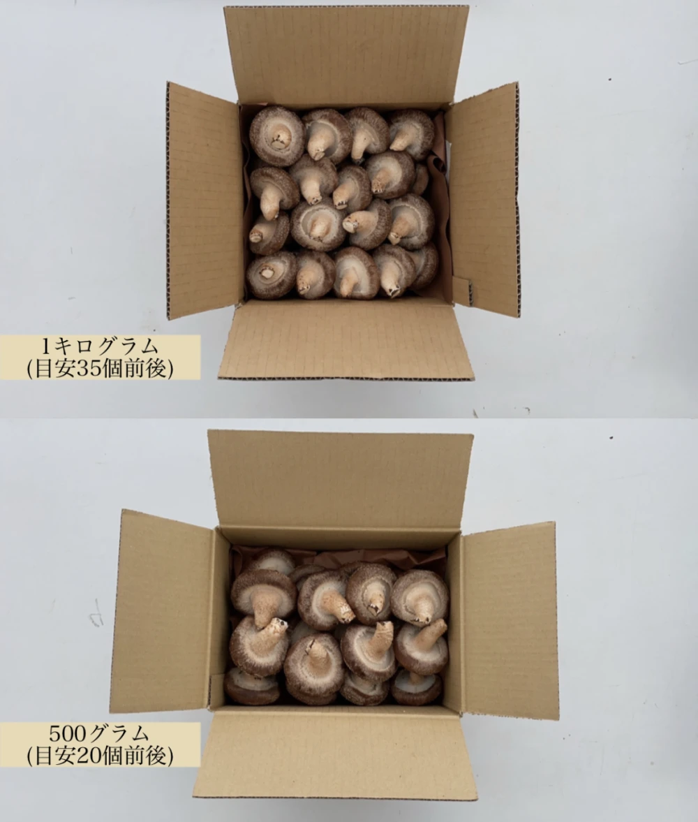 【濃厚】北海道産生しいたけ～格別な風味の椎茸で贅沢な時間を～(定番品)