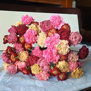 【ドライフラワー】新鮮な芍薬(シャクヤク)をドライフラワーに！
