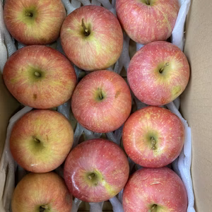 早生ふじ　こうりん　3キロバラ詰　家庭用訳あり　ジューシーで美味い！