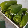 [緊急出品]たくさんのジャンボピーマンを助けて(T＿T)