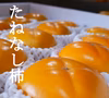 【送料無料】匠果樹園 たねなし柿 （贈答用）