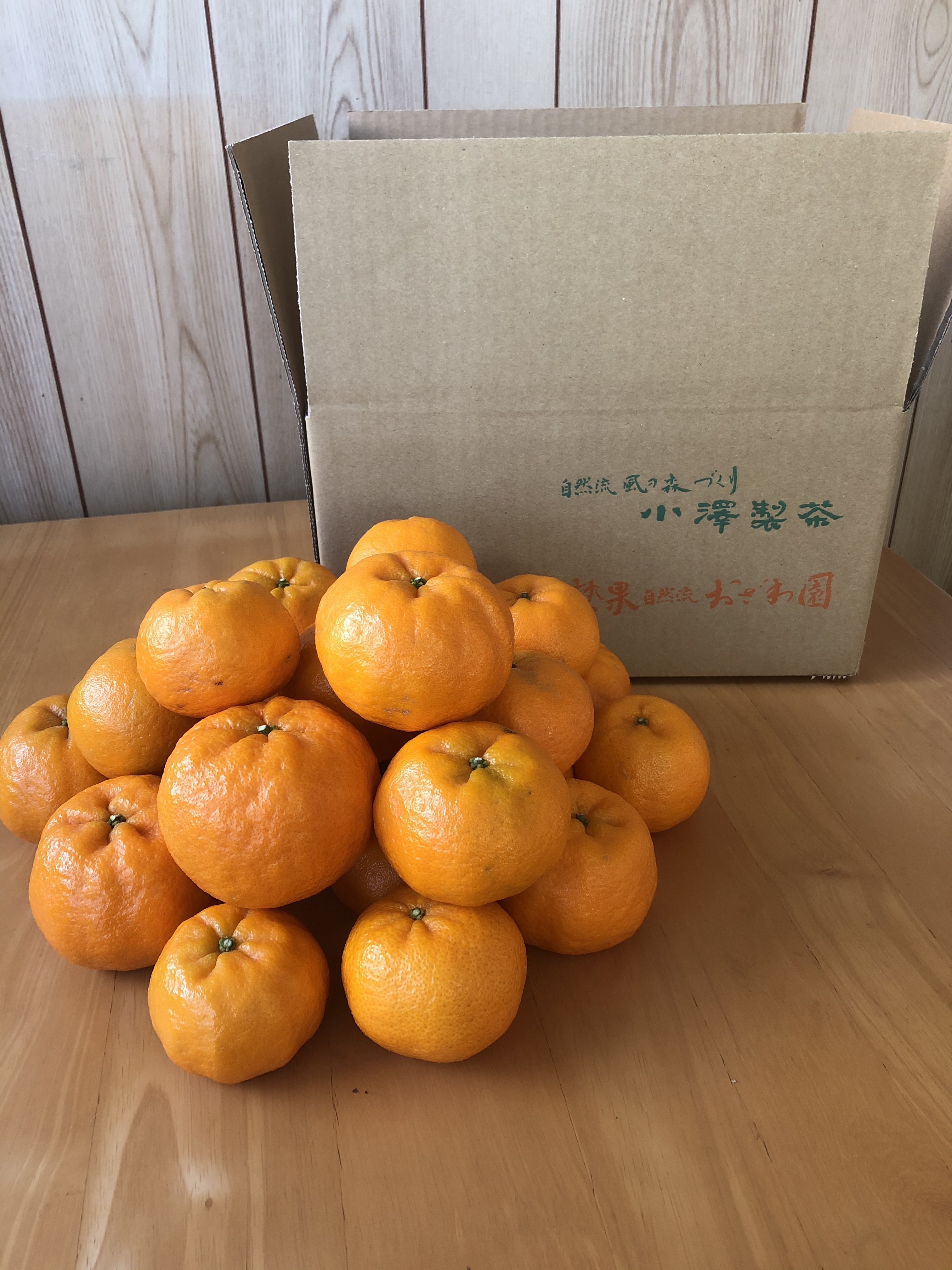 静岡県産 濃厚完熟みかん【ポンカン】（M～2L混合）｜みかんの商品