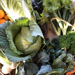 １１月３０日着★喜助農園の野菜セット S サイズ農薬.化学肥料不使用