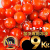 ミニトマト　熊本県産　9kg 国産　加工用 冷凍　業務用　割れ　ヘタなし　
