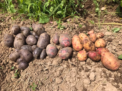 みんなの投稿の画像