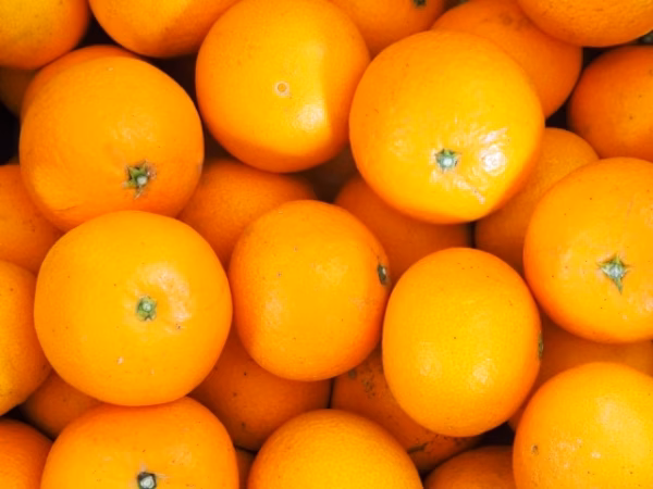 【送料無料】トロ甘♪清見タンゴール