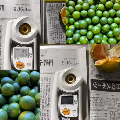 みんなの投稿の画像