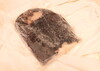 【値下げしました！】浜茹でタコ　頭約0.7kg 北海道寿都産