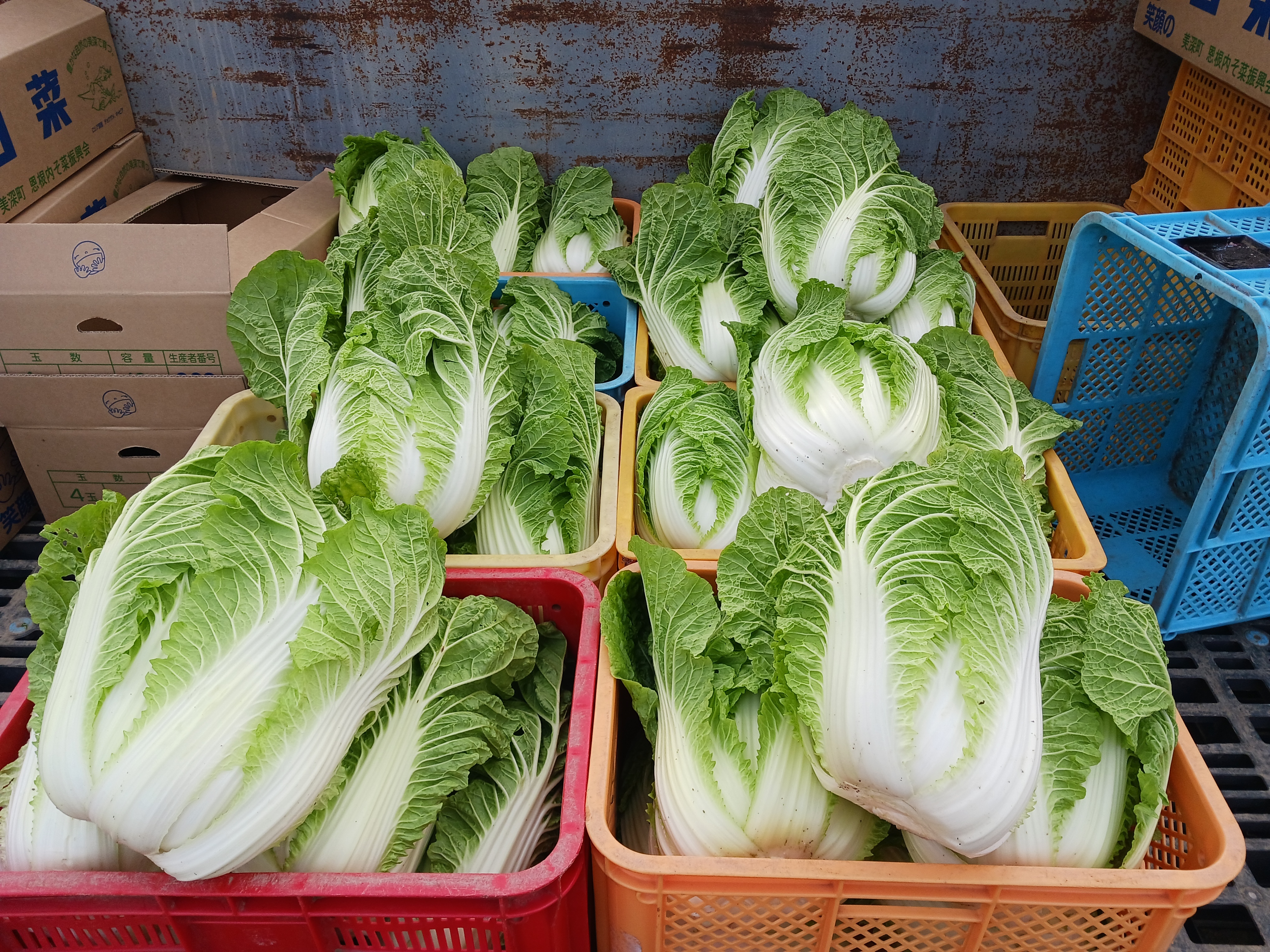 北海道中川郡美深町｜KI農園｜岩本 薫さんの生産者プロフィール