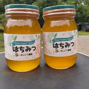 【添加物なし】はちみつ 600g 蜂蜜 ハチミツ セイヨウミツバチ