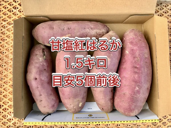 【鹿児島産】甘塩サツマイモ箱込み1.5キロ^_^