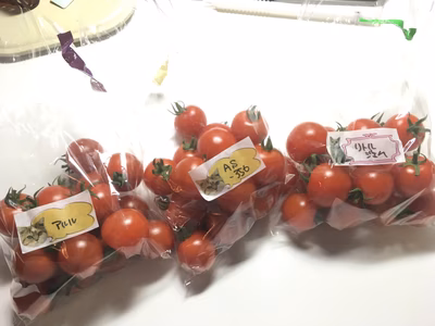 みんなの投稿の画像