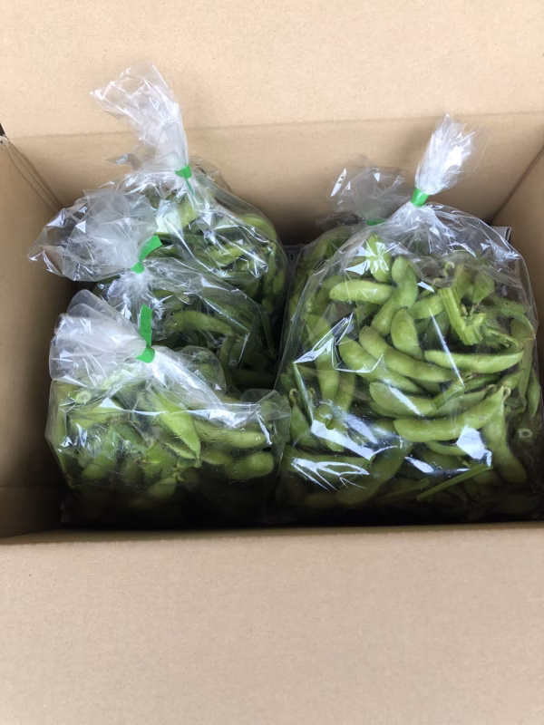 【枝豆】採れたて300gを4袋入り