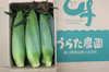 でか!!あま!! 早朝収穫の大きなとうもろこし