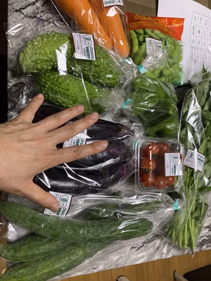 みんなの投稿の画像