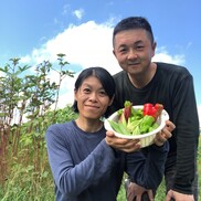 えぐみなし リピ続出 自然栽培べっぴんやさいのサラダケール 農家漁師から産地直送の通販 ポケットマルシェ