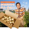 冬のごちそう！野菜ソムリエサミット銀賞【新玉ねぎ】10kg　