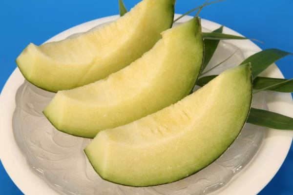 明日発送限定10箱イバラキング5Ｌ特大２個入り