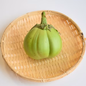 和らぎ農法　青なす（1袋）
