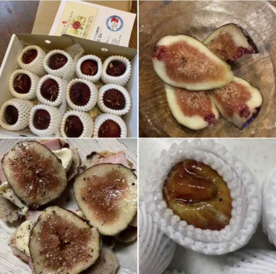 自家栽培 産地直送 甘くて美味しい完熟いちじく 桝井ドーフィン １２個入り 農家漁師から産地直送の通販 ポケットマルシェ