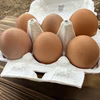 【1/20限定販売】年に一度の縁起物【大寒たまご】自然平飼い養鶏