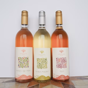 【贈り物や特別な日に】漆山果樹園ワイン750ml×3本セット