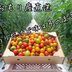 〈数量限定〉ヘタ取れ　カラフルミニトマト　１kg　おまかせ　詰め合わせセット