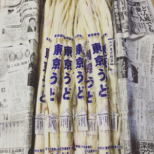 【当園でお渡し　発送は出来ません】2021年度 江戸東京野菜　東京うど