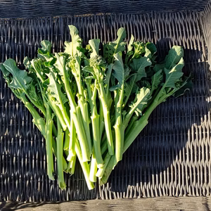 スティックセニョール(茎ブロッコリー)