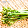 国産天然山菜 わらび水煮150g×2袋 