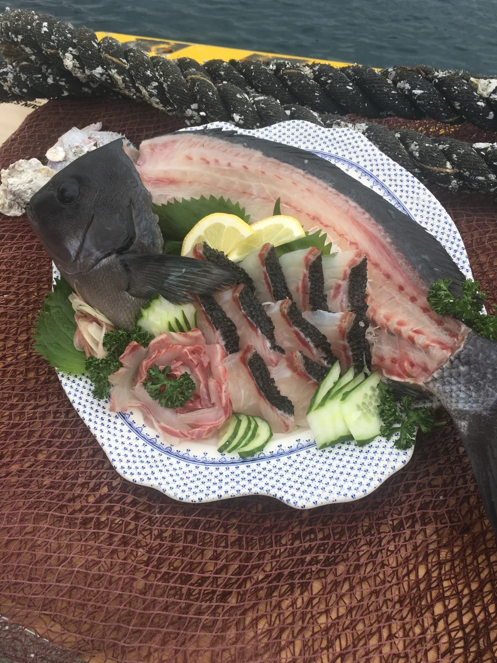 オナガグレ(クロメジナ)丸のまま　イワシの舞う島で育っためでたい魚