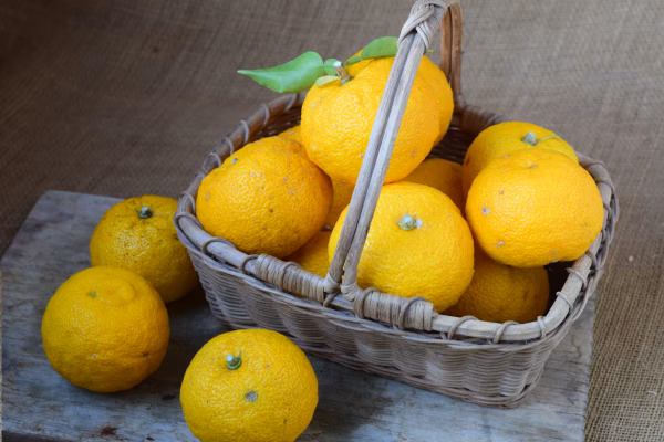 香り豊かな柚子★栽培期間中農薬・化学肥料不使用