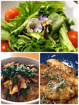 みんなの投稿の画像