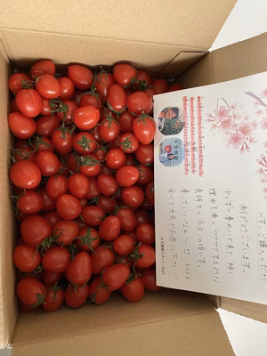 みんなの投稿の画像