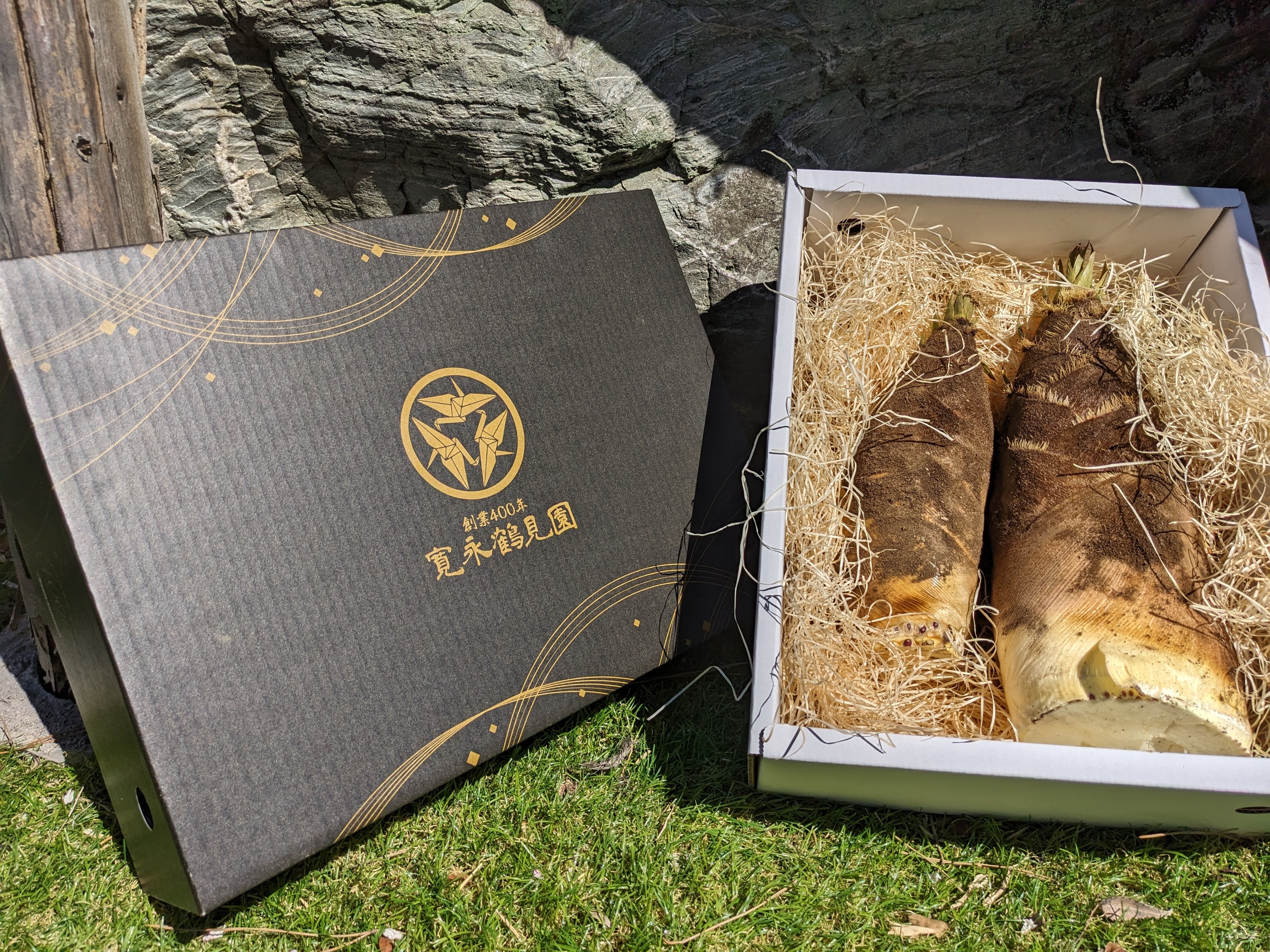 タケノコの通販・お取り寄せ商品｜野菜｜ポケットマルシェ｜産地直送で