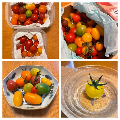 みんなの投稿の画像