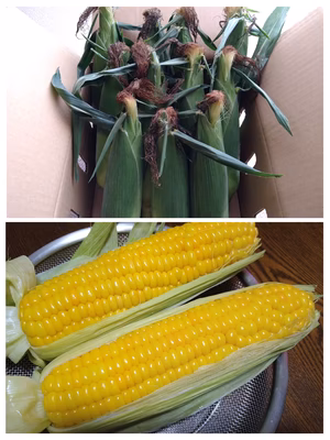 みんなの投稿の画像