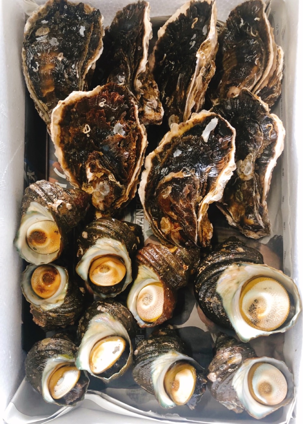 残りわずか 超豪華bbqセット 岩牡蠣 サザエ 生食もok 農家漁師から産地直送の通販 ポケットマルシェ
