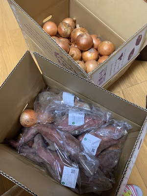 みんなの投稿の画像