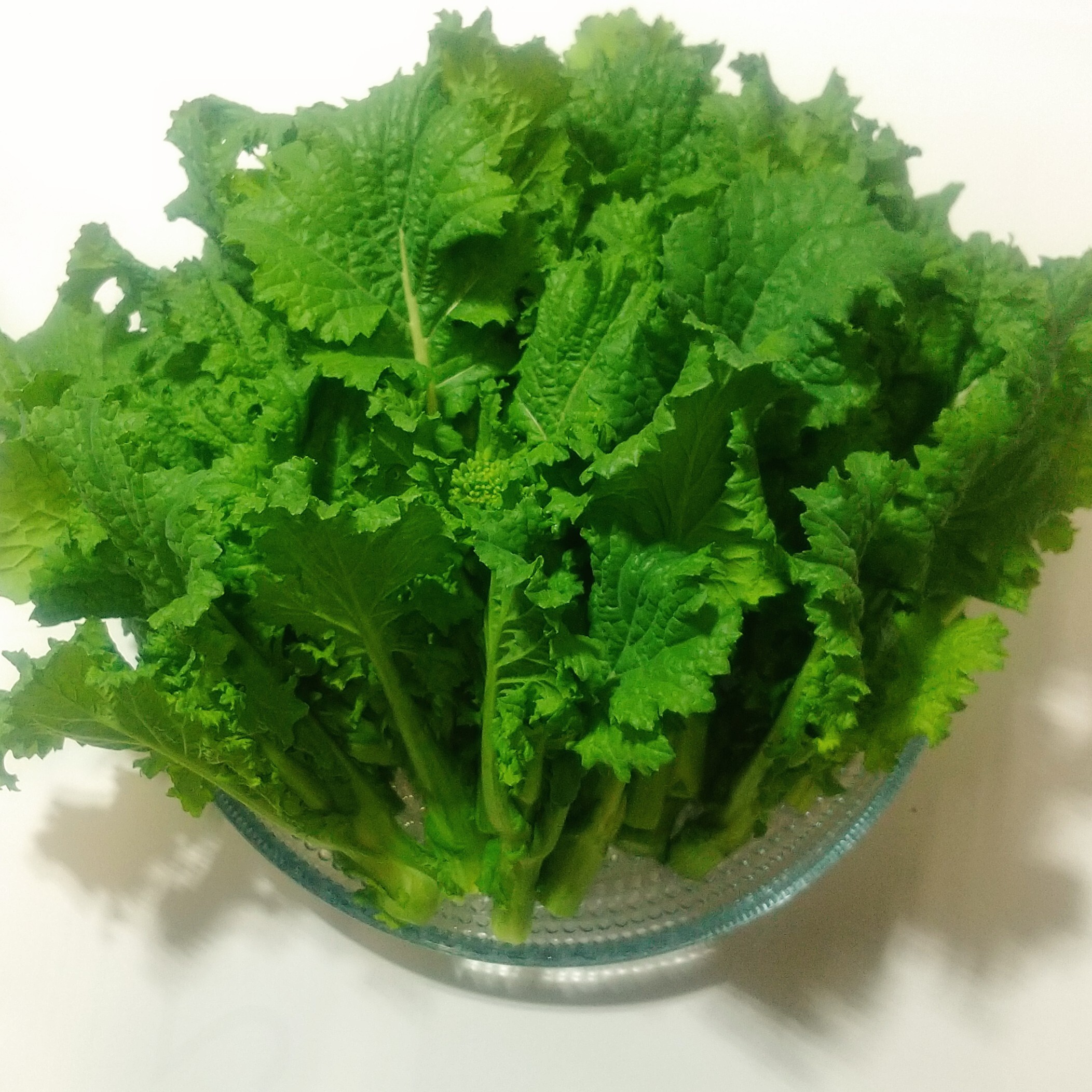 新鮮野菜 香川産 菜花 菜の花 産地直送 - 野菜