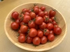 パリッとした食感のミニトマト小鈴